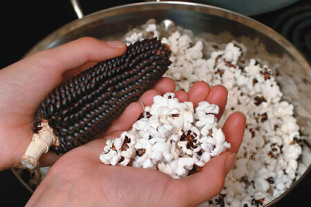 Pop and Parch Heirloom Corn Image